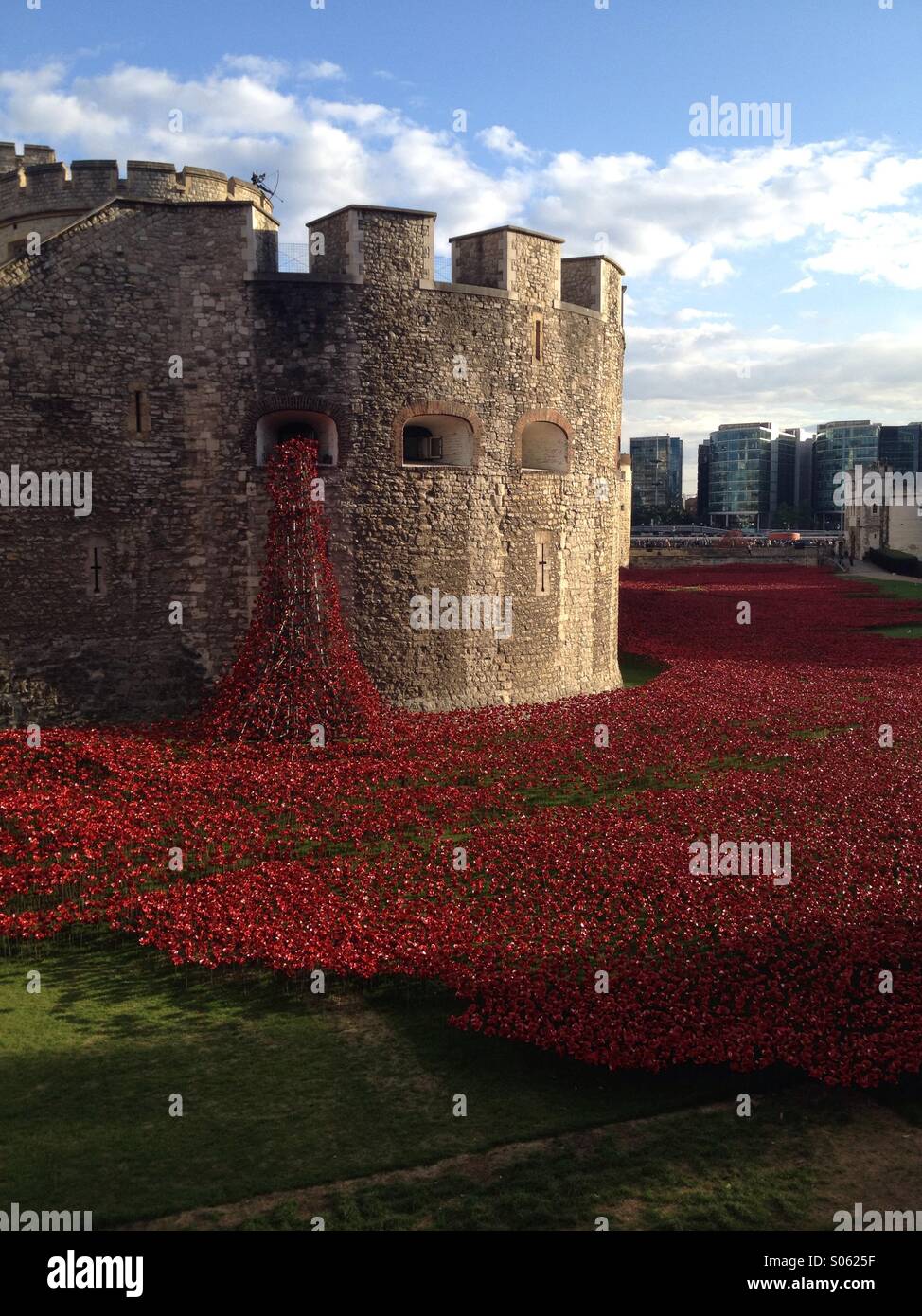 Poppies at the Tower of London Stock Photo