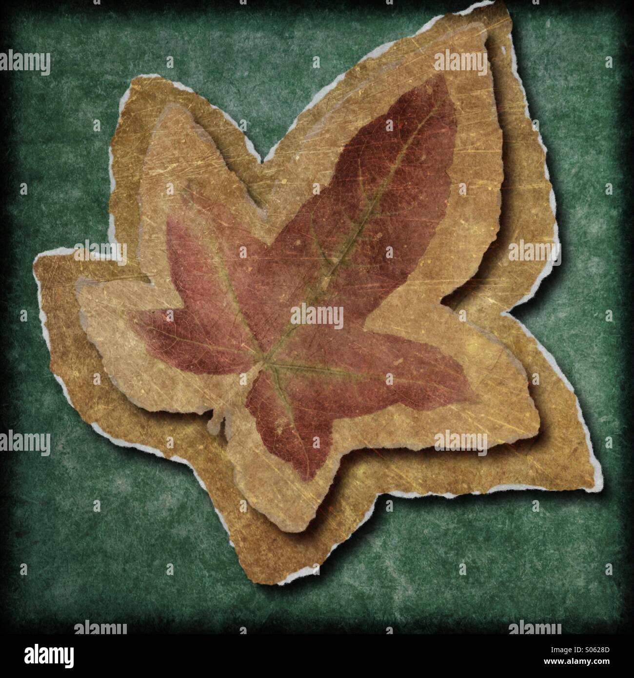 Leaf Abstract Design Stock Photo Alamy