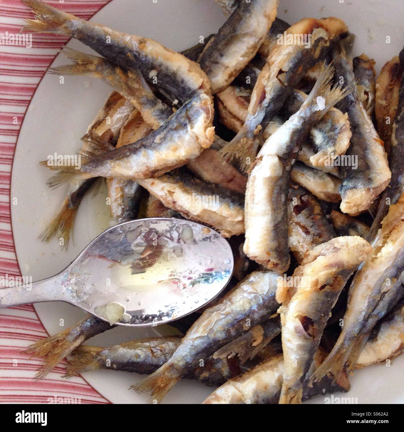 Sardines fish lunch Stock Photo Alamy