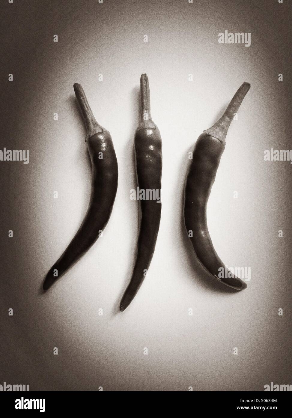 Chilli Pepper - Smartphone Captured Stock Image