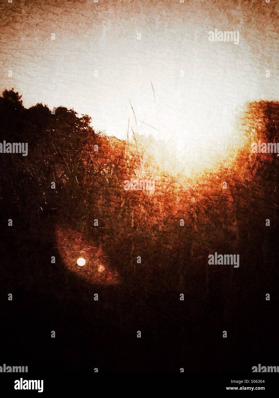 Morning Sun with lightflares. Retro styled postprocessing . - Smartphone Captured Stock Image