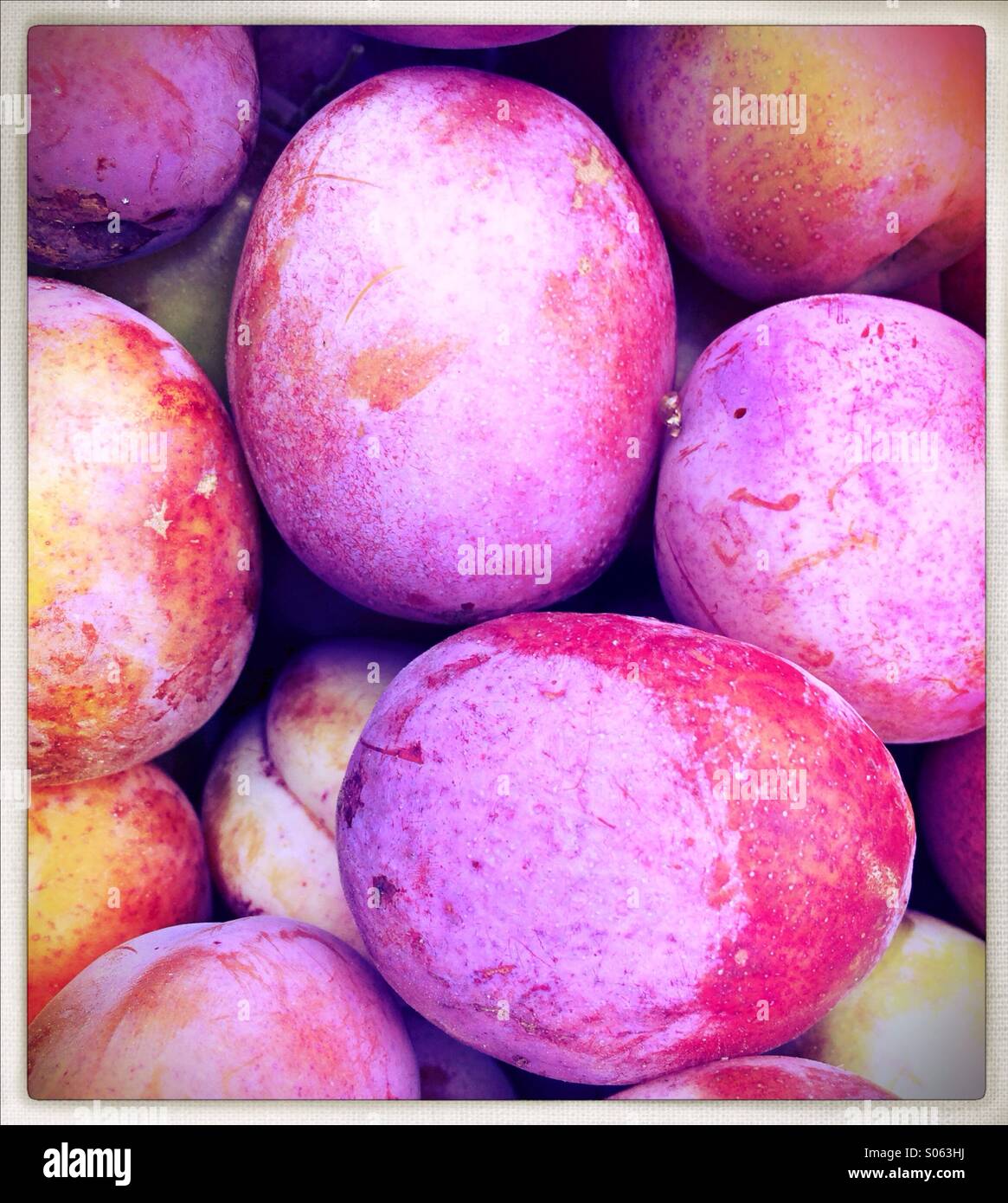 Victoria plums hires stock photography and images Alamy