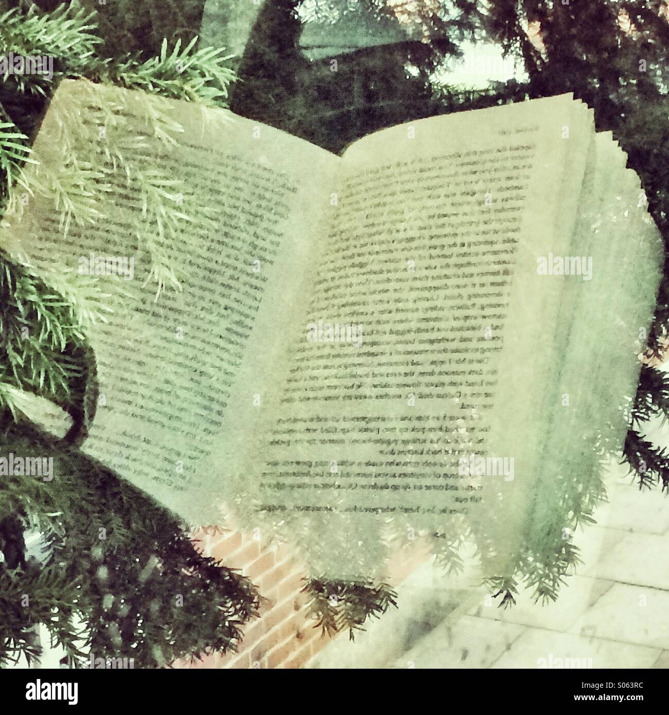 Reflection of a book in a bus window - Smartphone Captured Stock Image