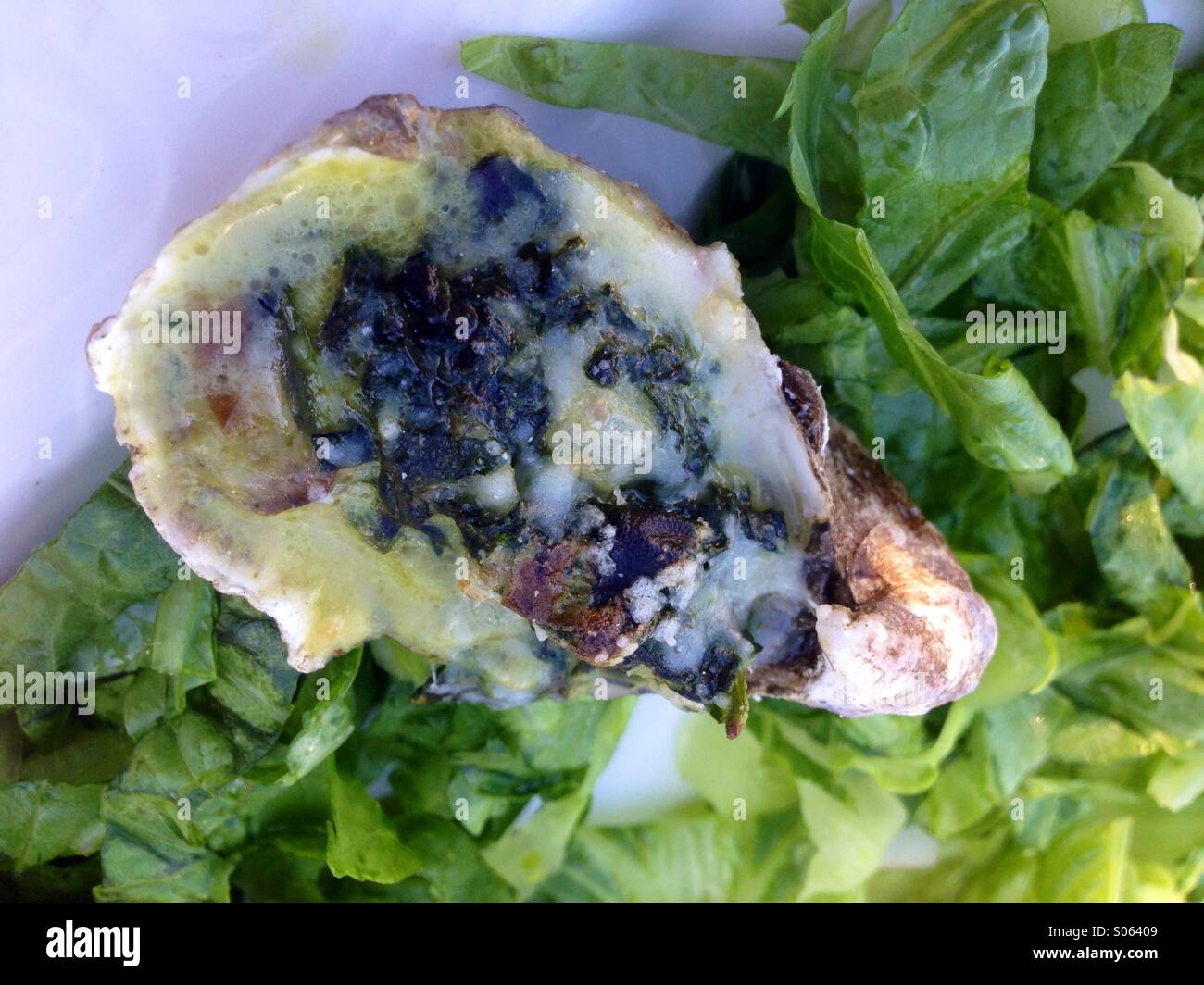 Rockefeller Oyster - Smartphone Captured Stock Image