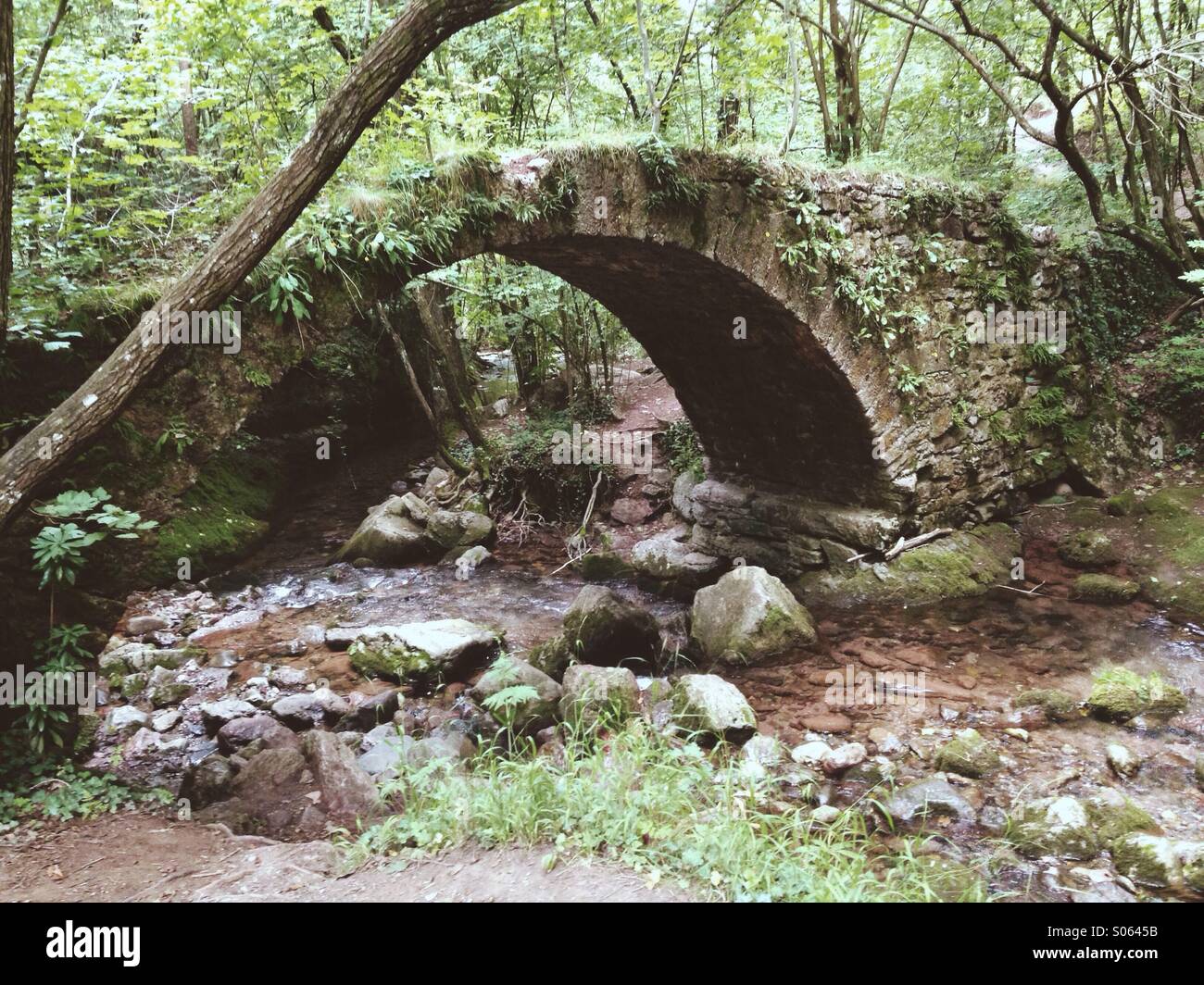 Old bridge over the Llobregat river, Catalonia. Spain Stock Photo