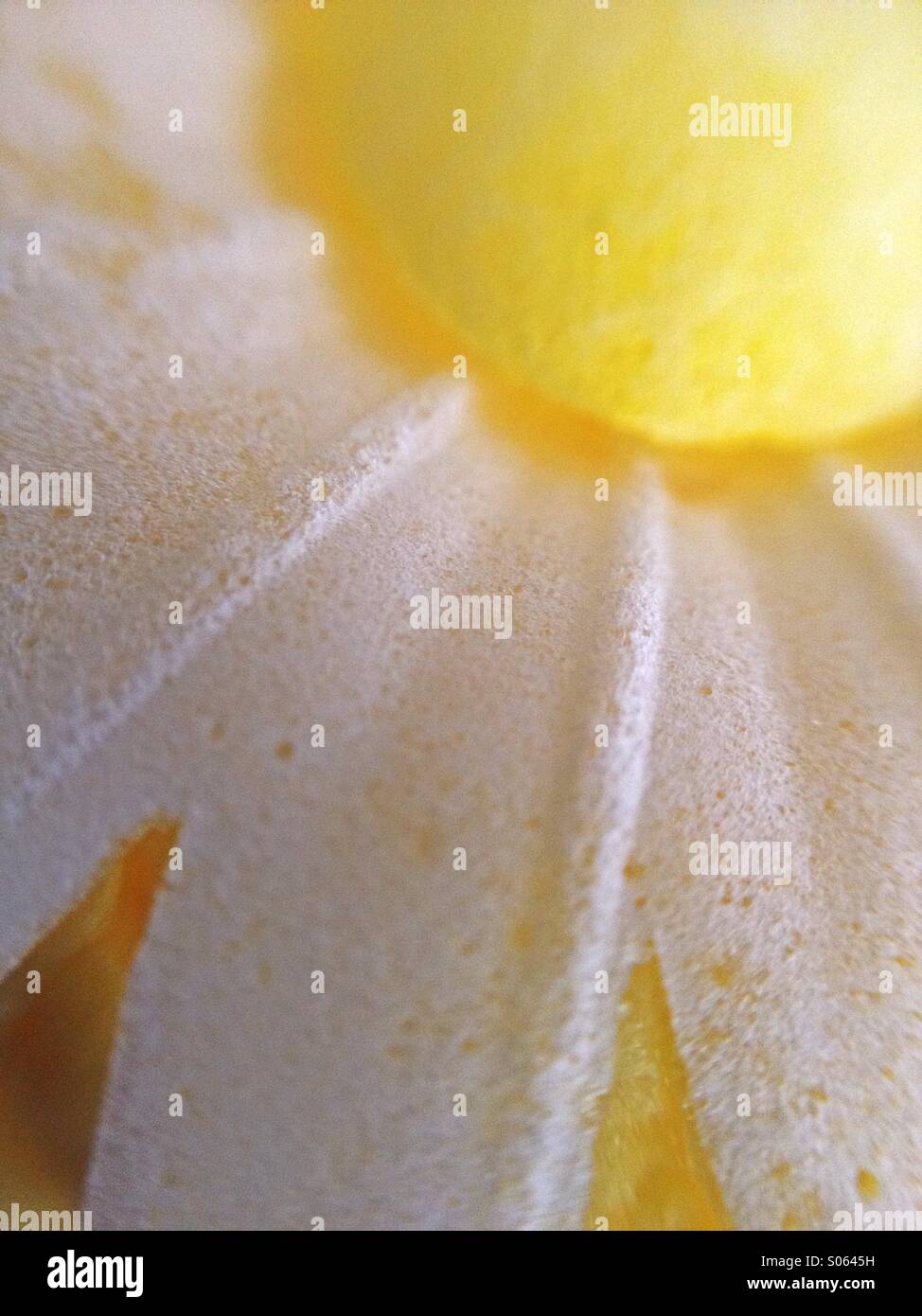 Edible cake decoration - Smartphone Captured Stock Image