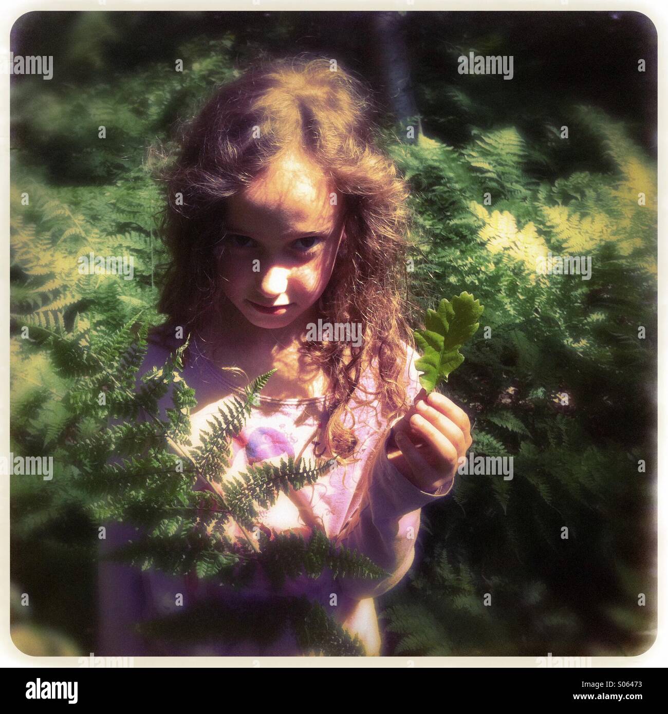Girl six holding an oak leaf Stock Photo - Alamy