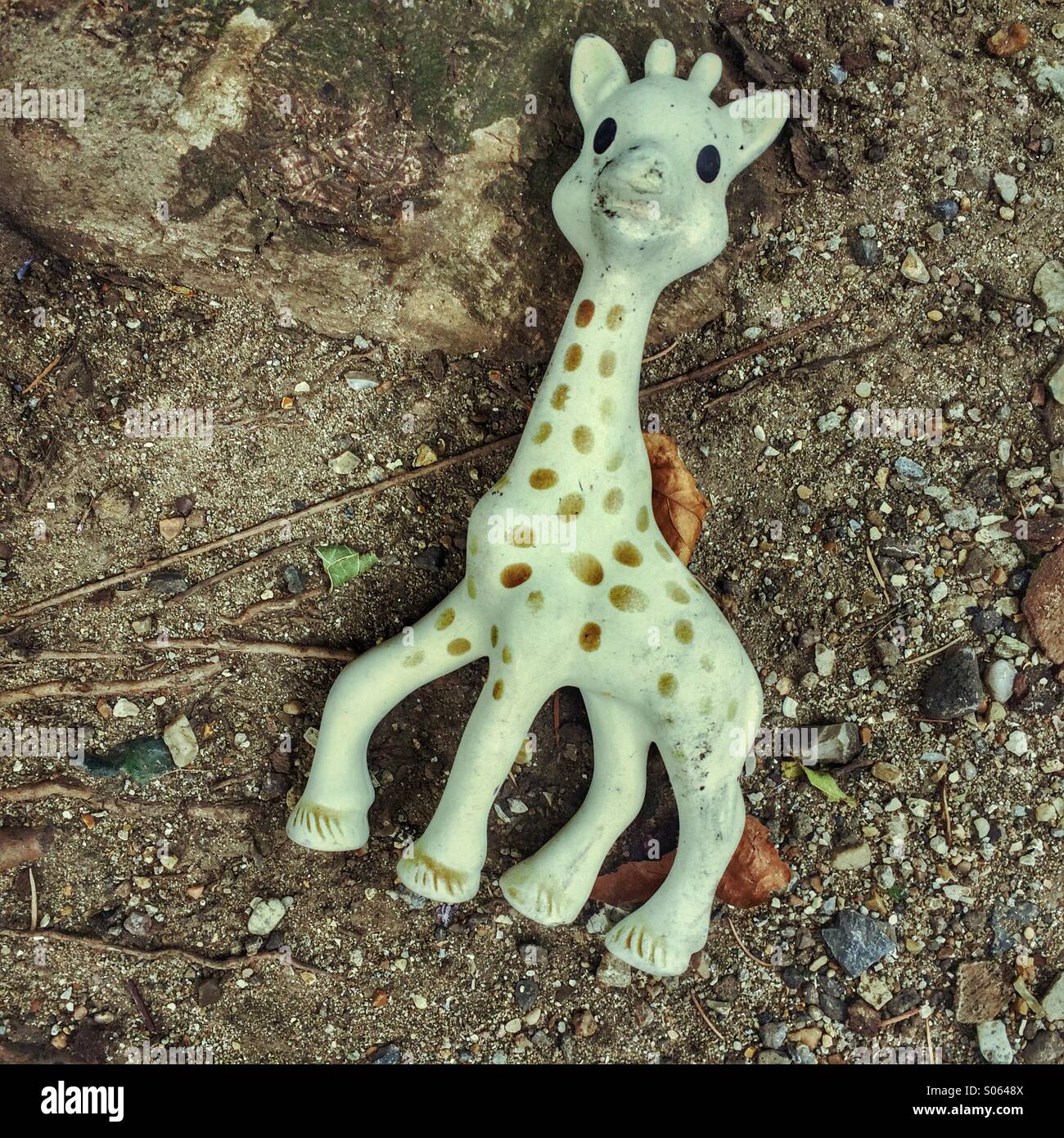 A discarded child's toy. - Smartphone Captured Stock Image