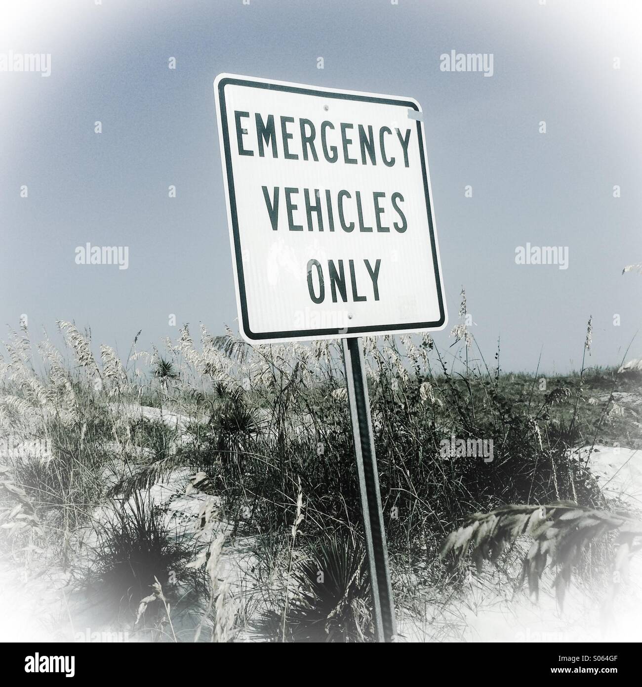 Sign advising that only Emergency Vehicles are permitted on the beach, Jacksonville Beach, Florida, USA. - Smartphone Captured Stock Image