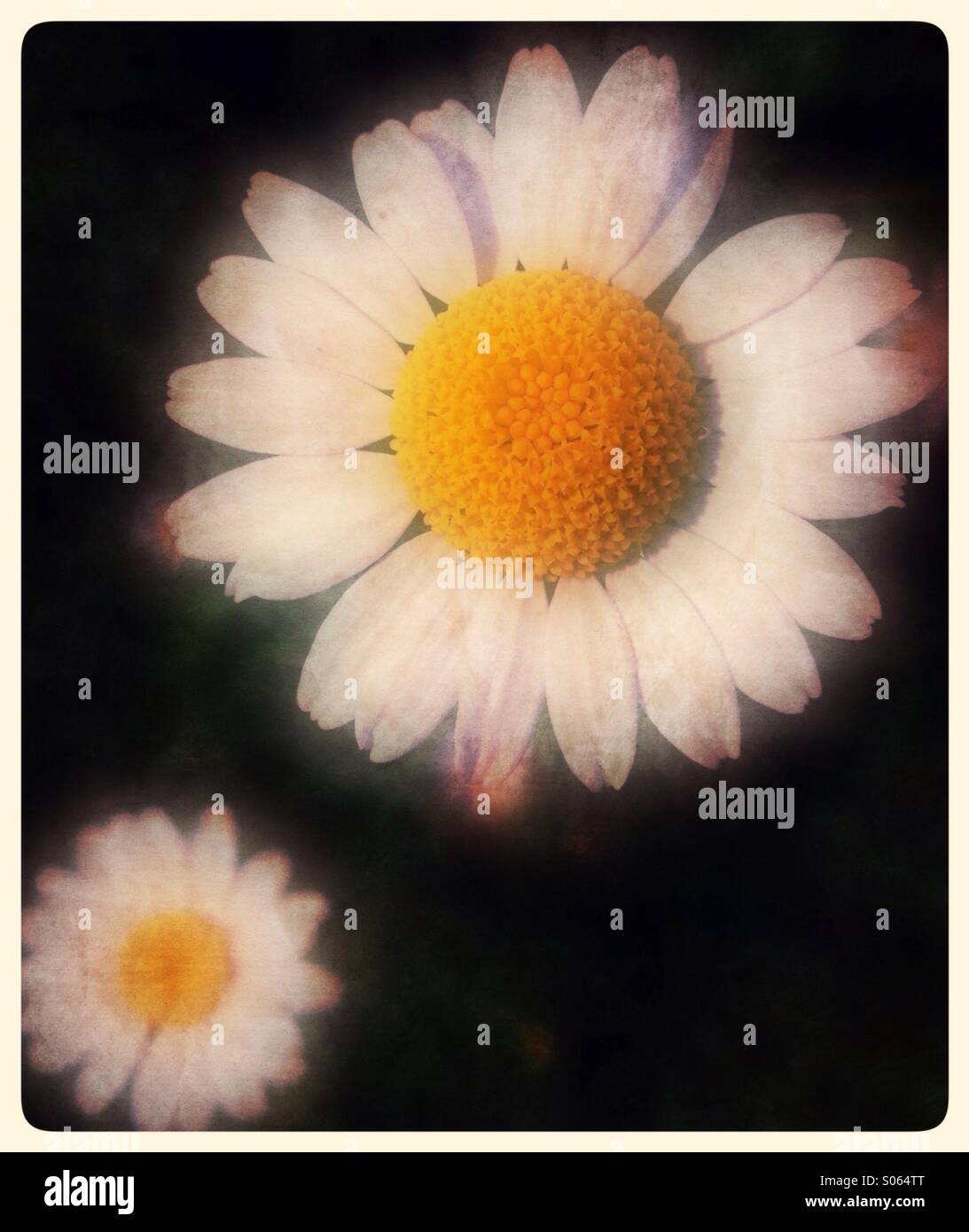 Soft focus background hi-res stock photography and images - Alamy