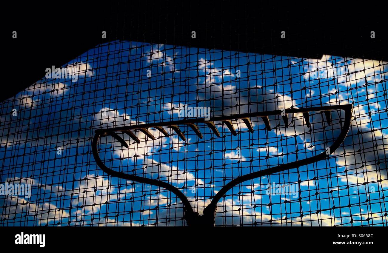 A rake in a hay barn. - Smartphone Captured Stock Image