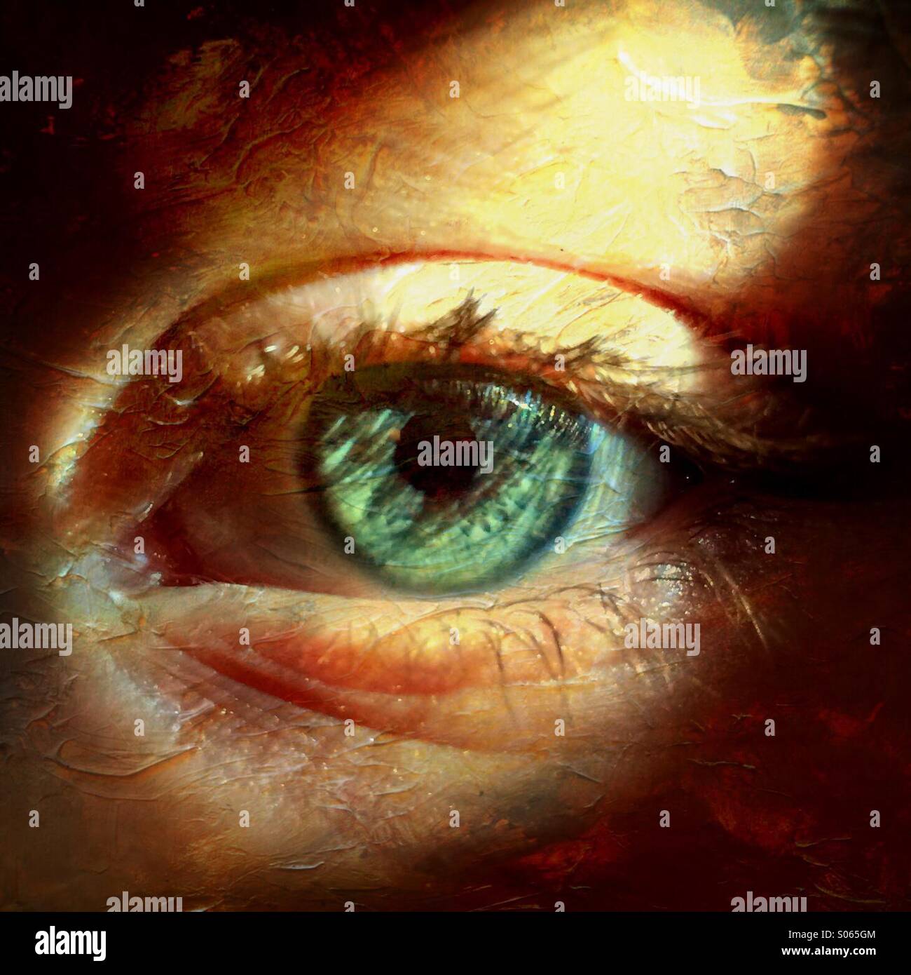 Close-up of a young male eye in a ray of sunshine - Smartphone Captured Stock Image