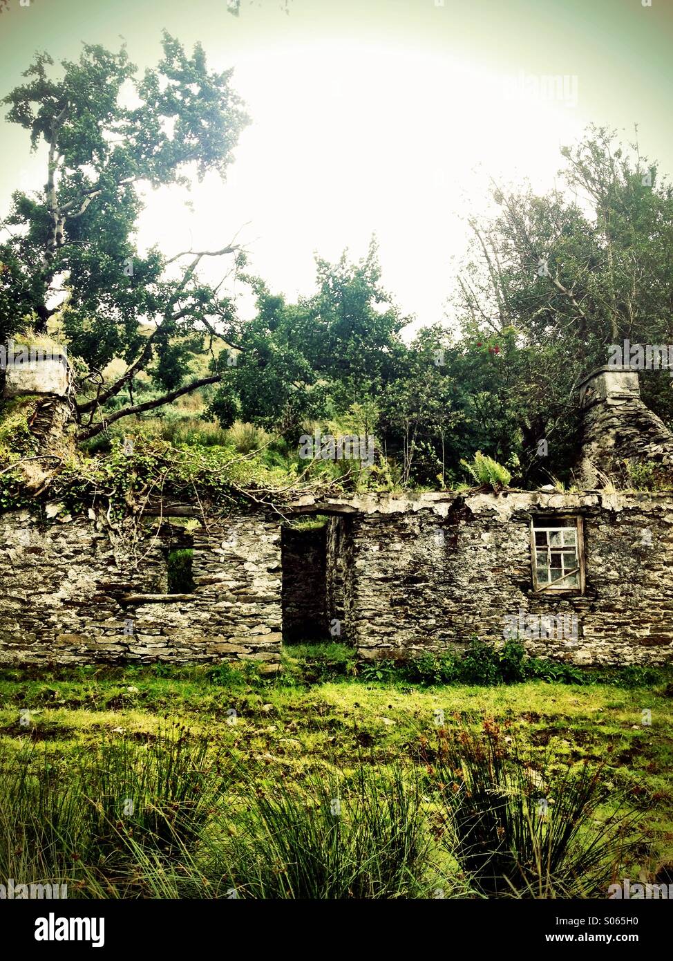 Cottage Ruins - Smartphone Captured Stock Image