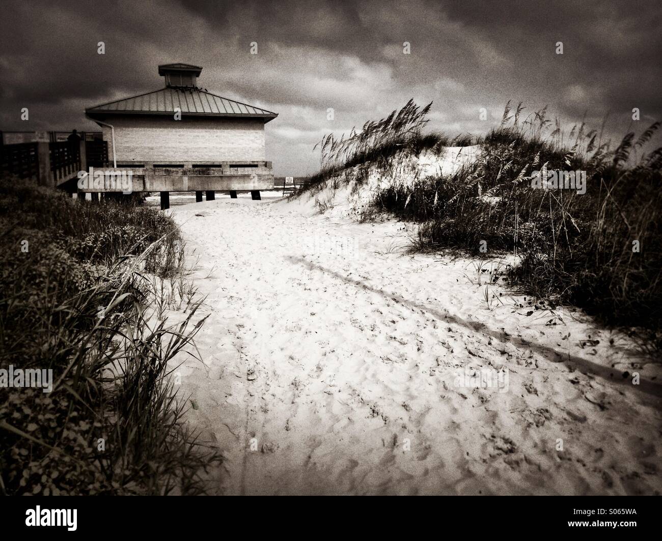 Sandy path through the sand dunes to the fishing pier, Jacksonville Beach, Florida, USA Stock Photo
