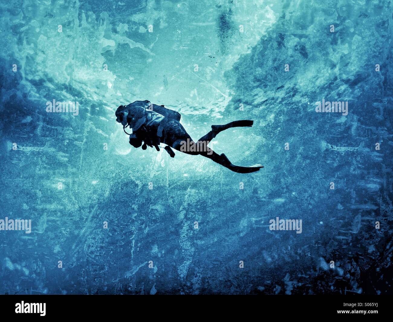 Diving in the north of Primorye. Rudnaya Bay Entry to the bucket. Continuing testing. Fishes Diving in the north of Primorye. Rudnaya Bay Entry to the bucket. Continuing testing. Fishes