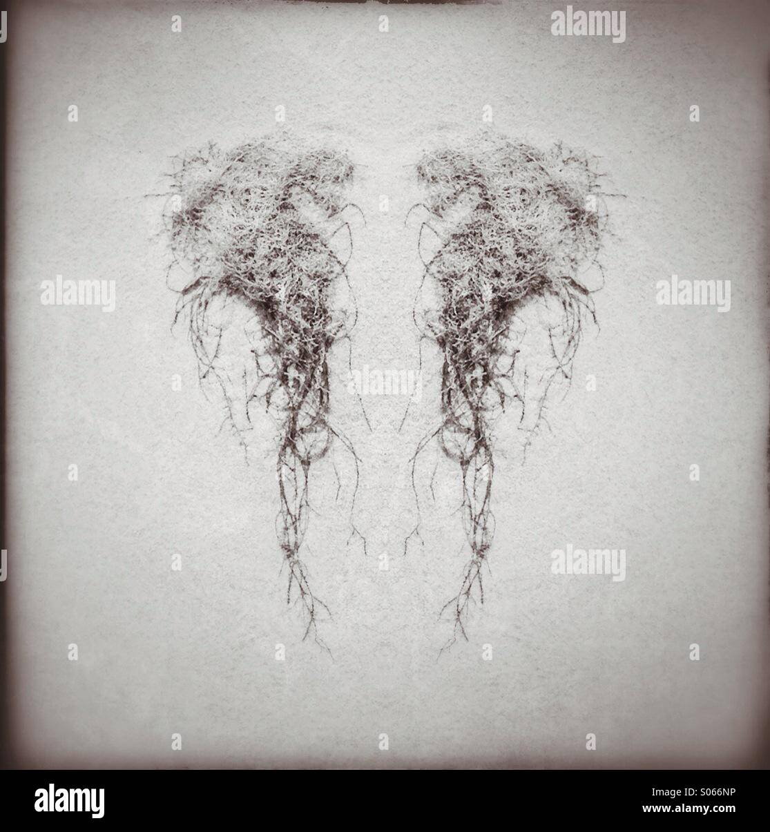 Seaweed creature - Smartphone Captured Stock Image