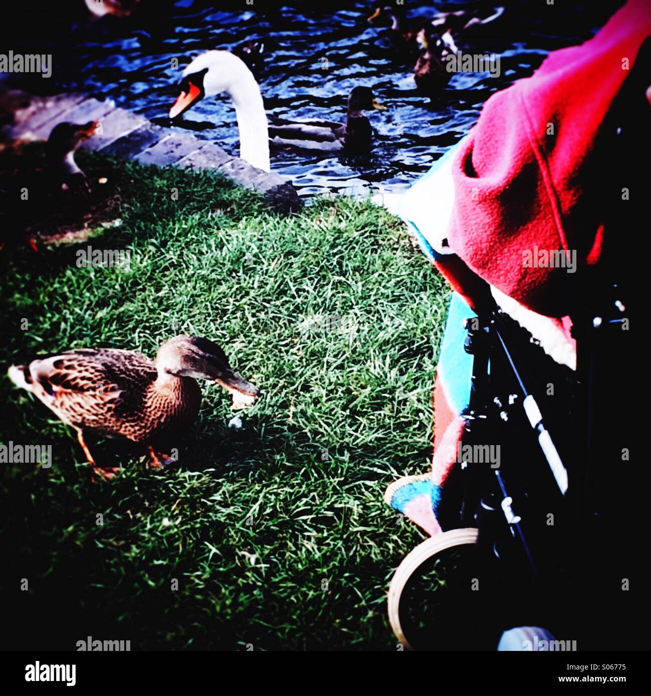 Wheelchair by the stream - Smartphone Captured Stock Image