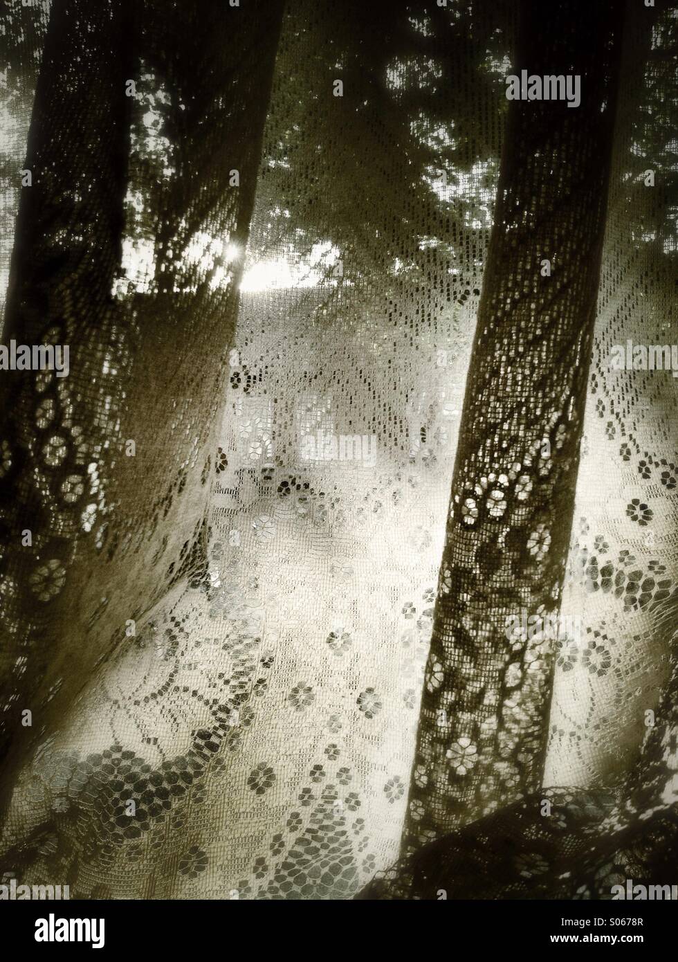 Net curtains - Smartphone Captured Stock Image