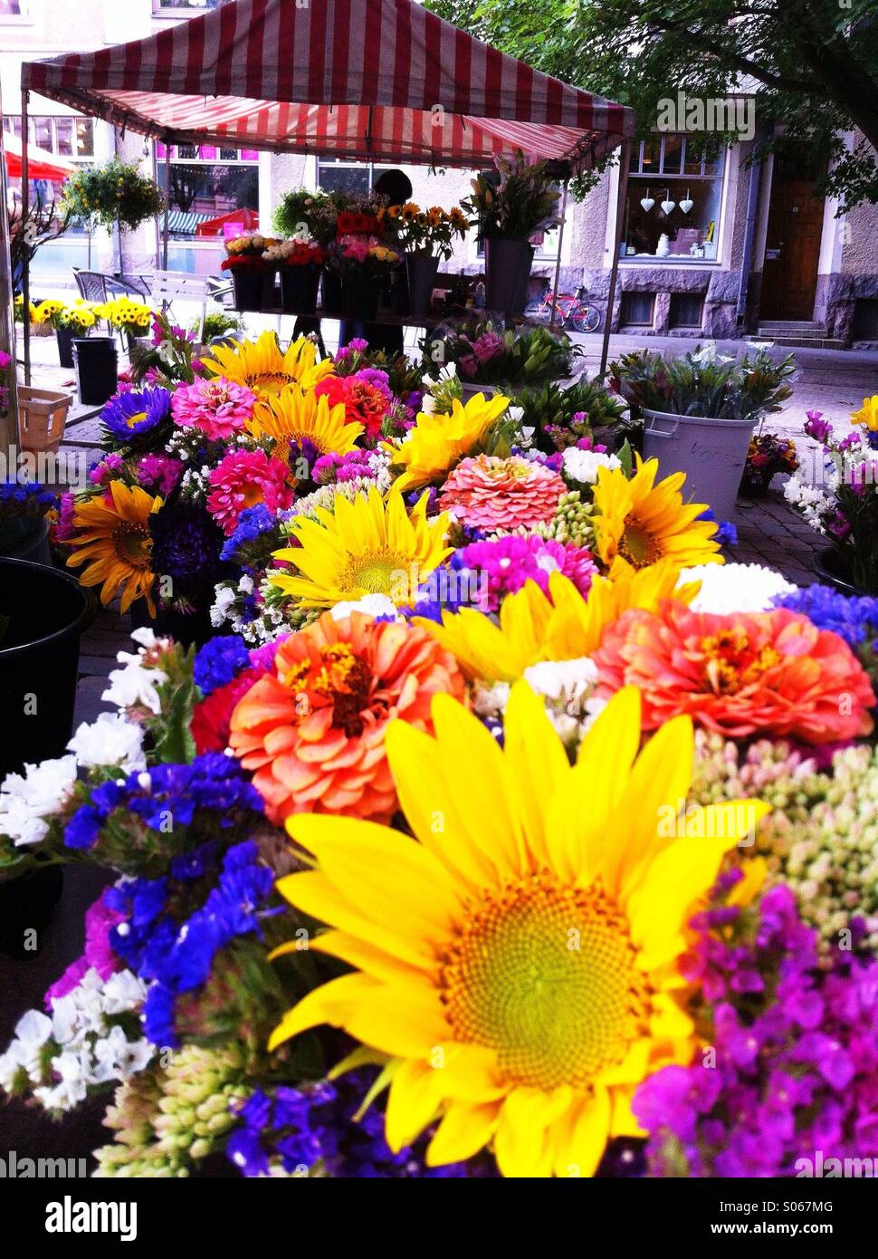 Flower market at Frederikinkatu, Punavuori, Helsinki. The area is also  called  Desing District Stock Photo - Alamy