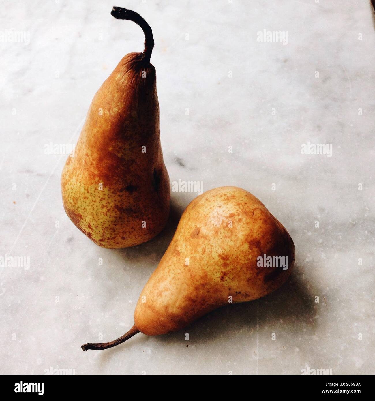 Buerre Bosc Pears Stock Photo Alamy