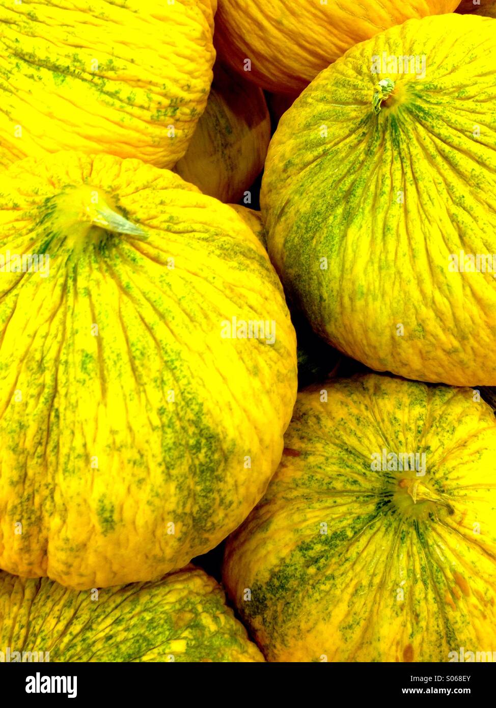 Bright yellow melons Stock Photo