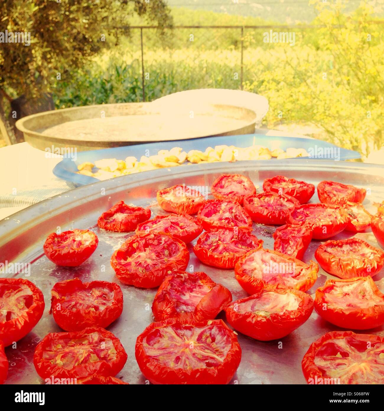 Tomatoes and apples drying in the sun Stock Photo
