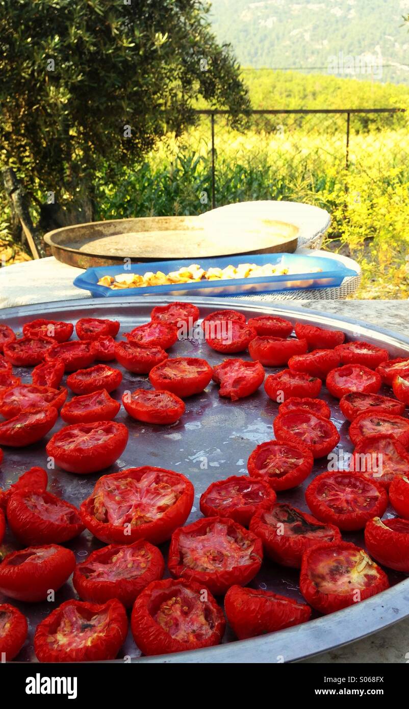 Tomatoes and apples drying in the sun. Stock Photo