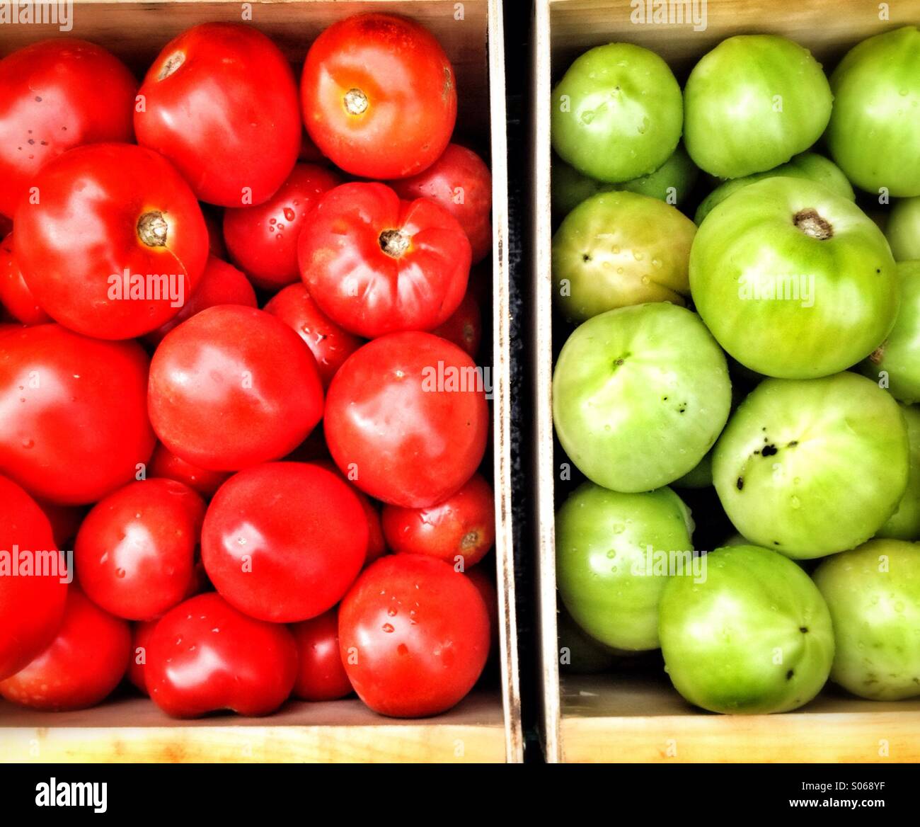 Tomatoes - Smartphone Captured Stock Image