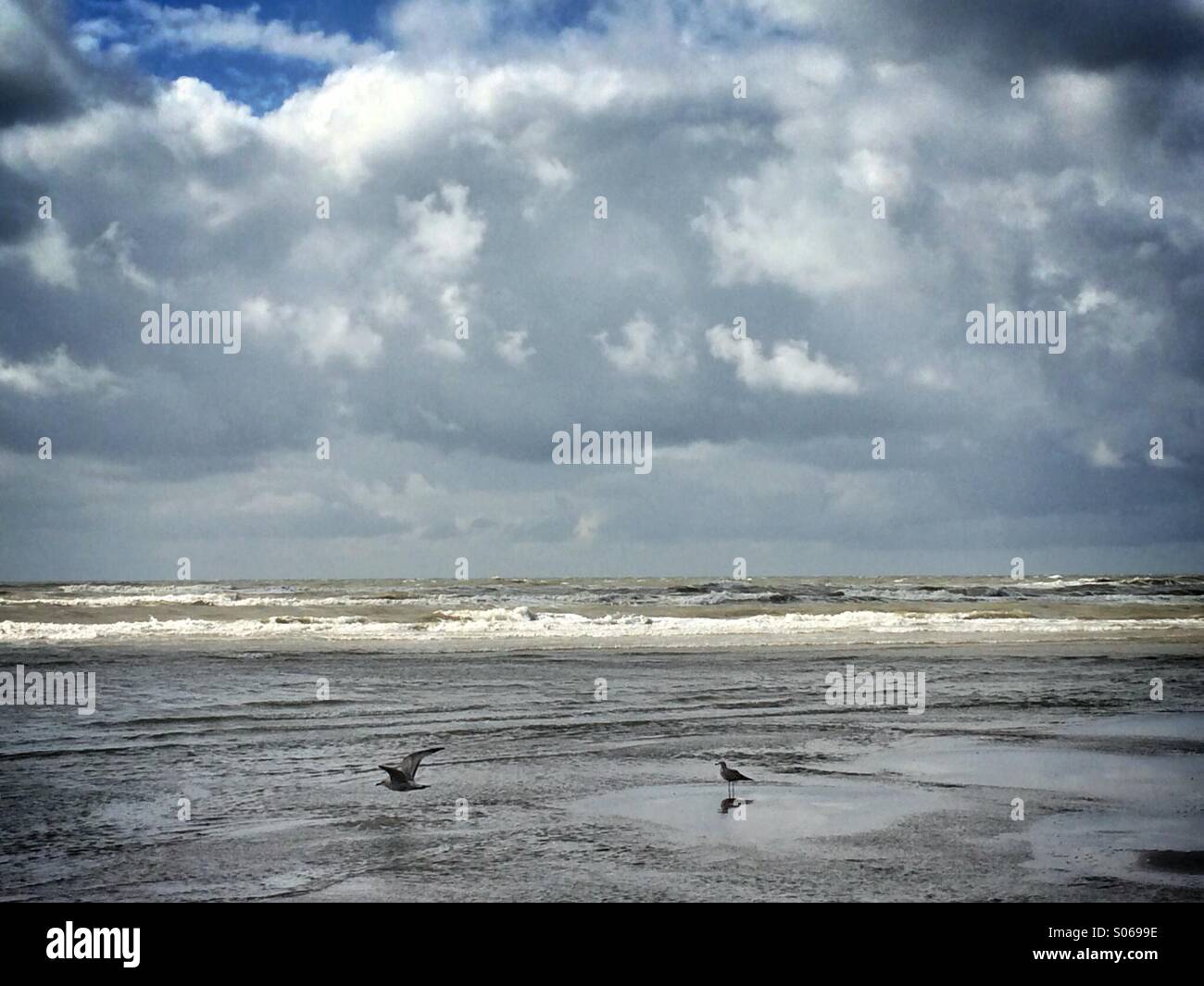 Cloudy sky over a beach hi-res stock photography and images - Alamy