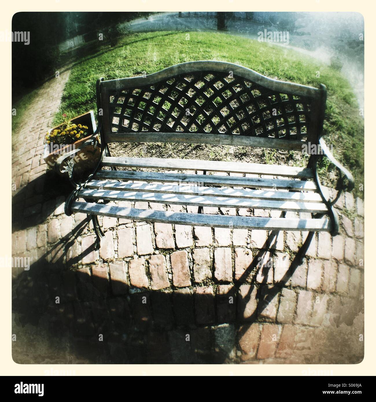 A Park Bench In Atlanta Stock Photo 309925906 Alamy