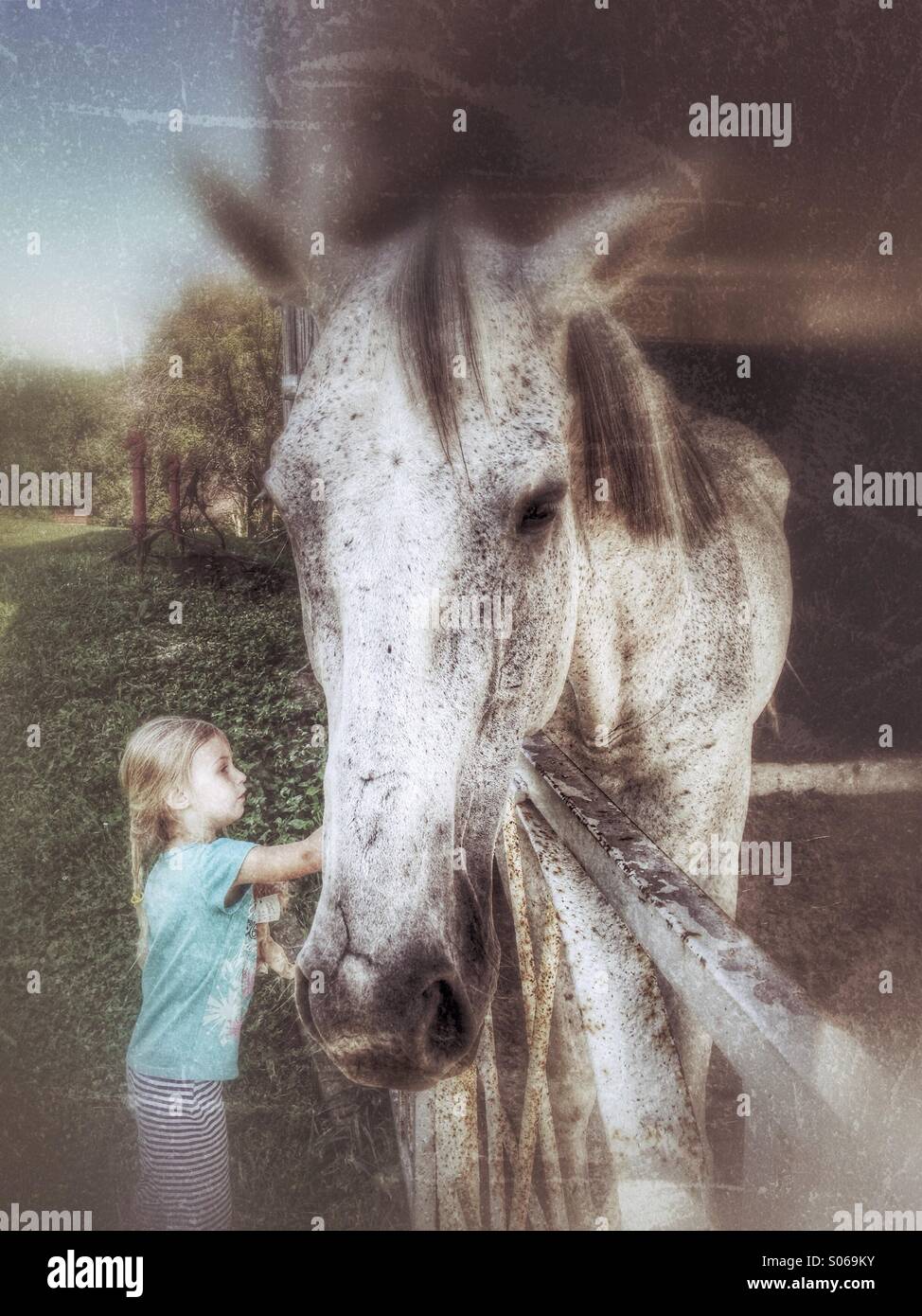 Girl petting a horse. - Smartphone Captured Stock Image