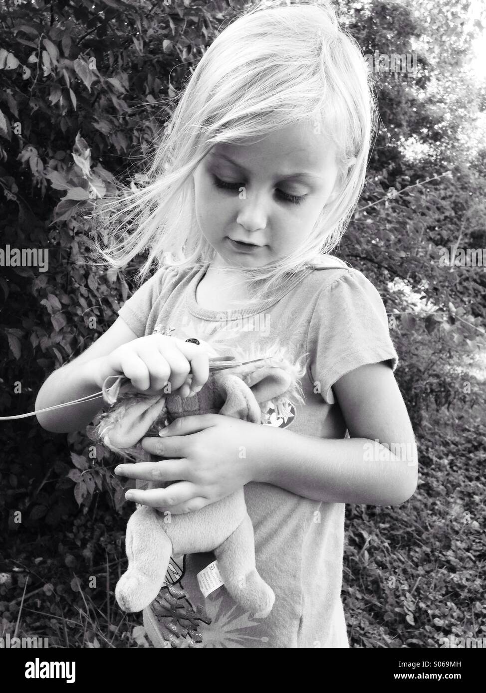 Feeding time. - Smartphone Captured Stock Image