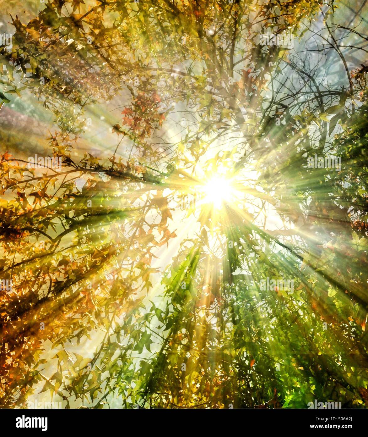 sunshine stream sunshine stream