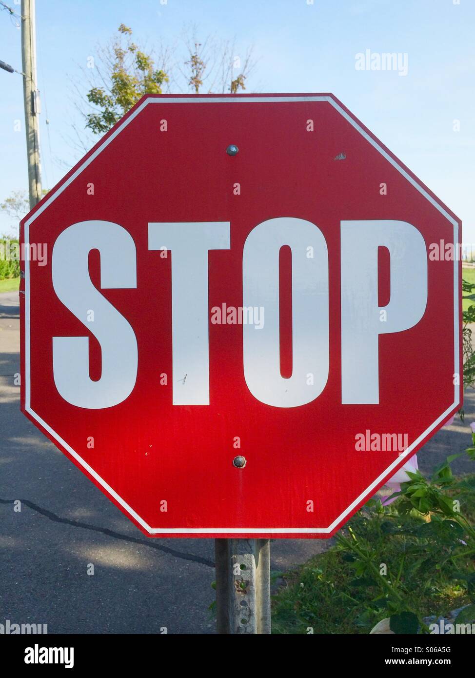 A STOP sign at the end of a rural road in Connecticut, USA. - Smartphone Captured Stock Image