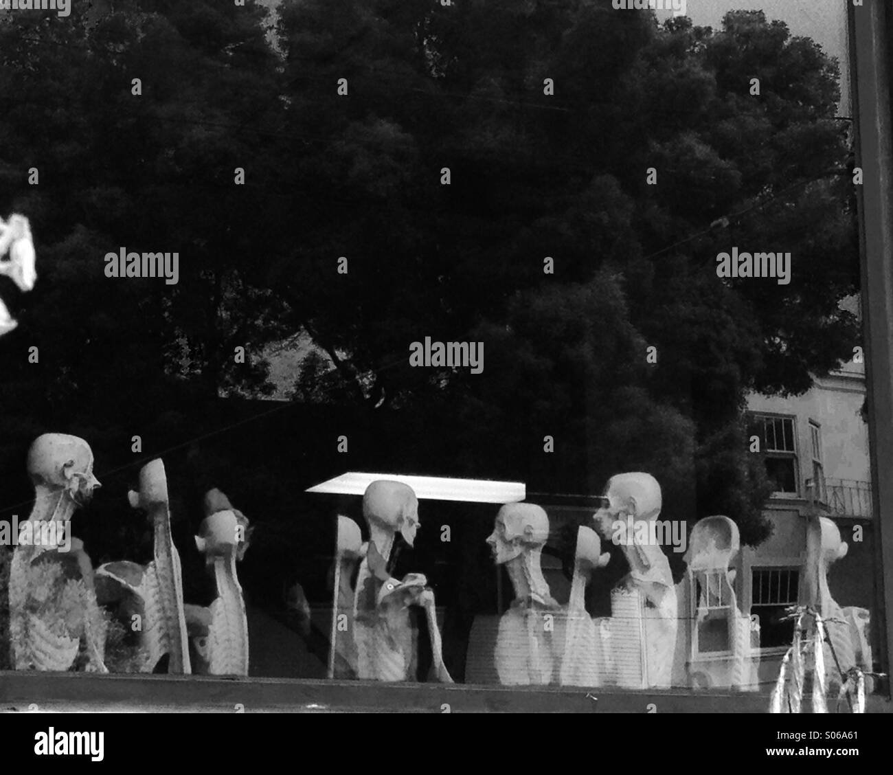 Looking trough the window of a high school science classroom. With skeleton models and tree reflections. Stock Photo