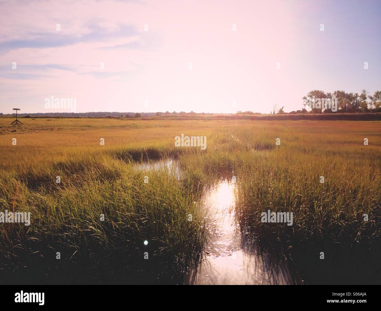 A salt marsh in late afternoon sun on the coast of Connecticut, New England, USA. Stock Photo