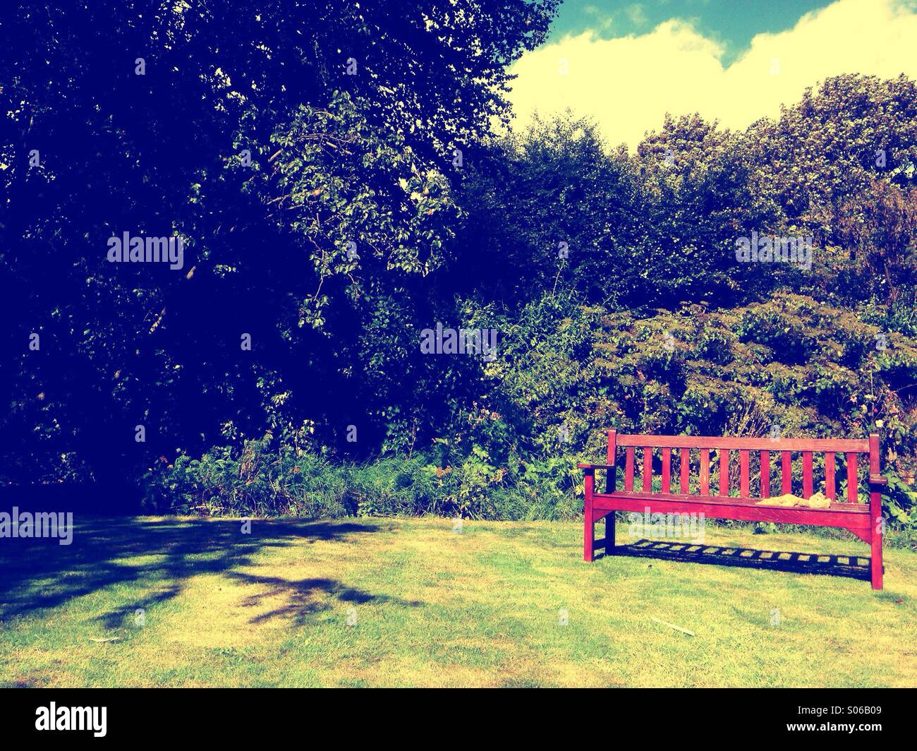 Empty garden bench on a lawn in summer Stock Photo