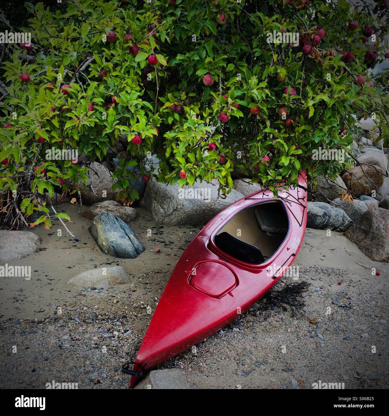 Kayak on the beach Stock Photo - Alamy