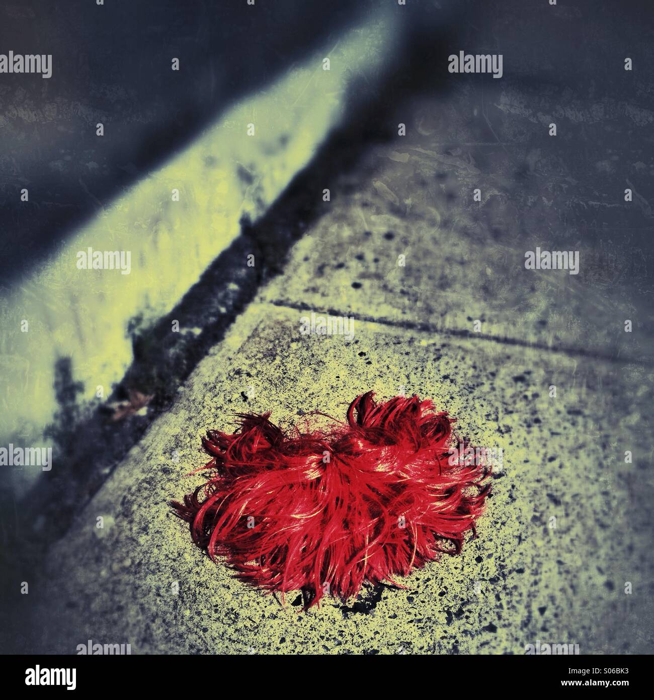 Wig on street - Smartphone Captured Stock Image