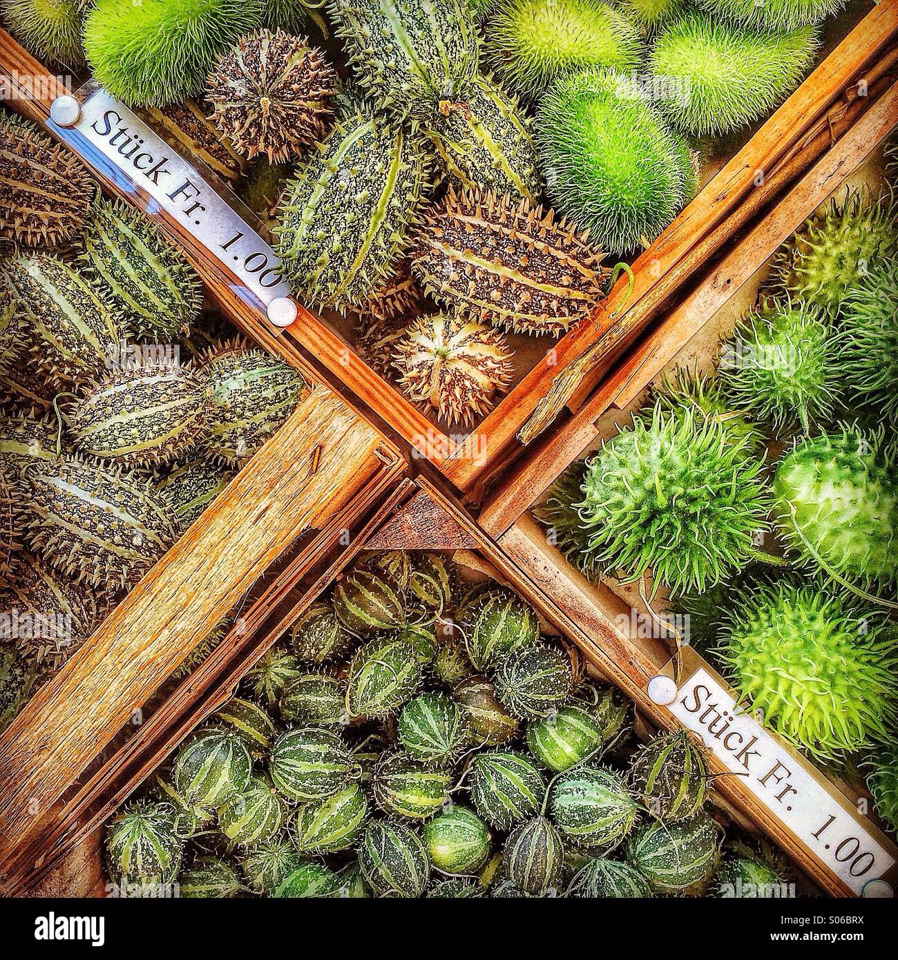 Assorted small spiky squashes for sale in wooden trays - Smartphone Captured Stock Image