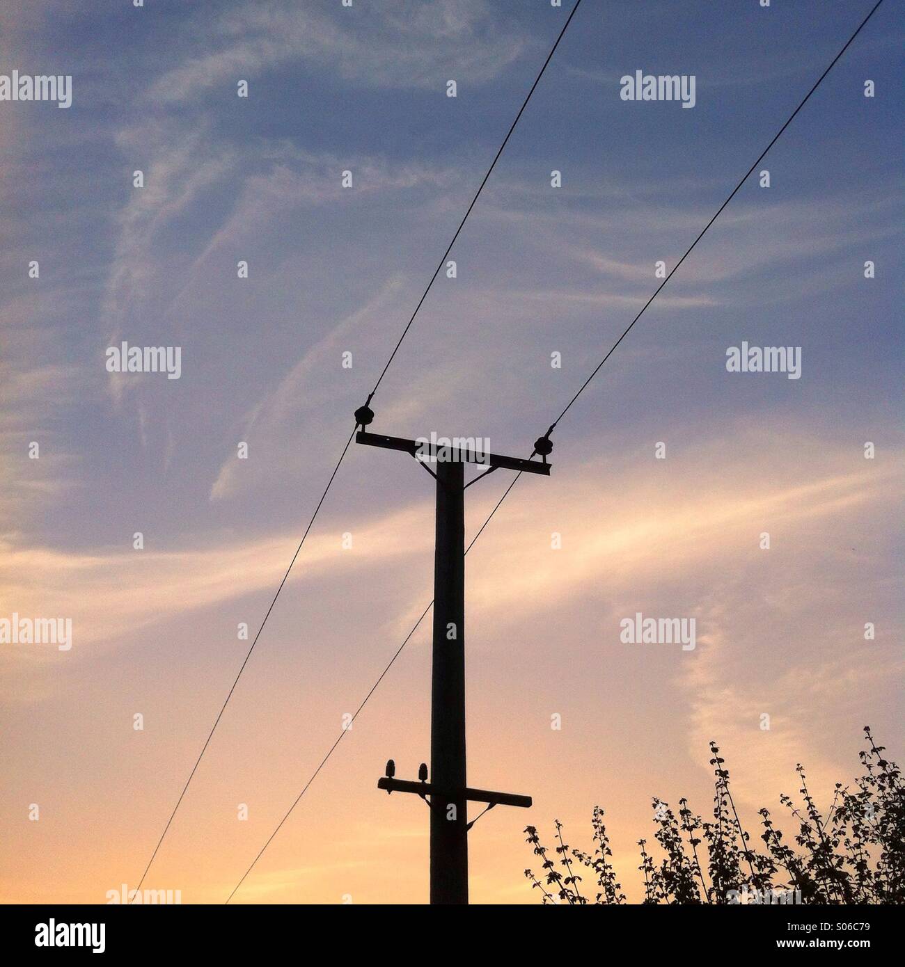 Sunset with silhouetted electricity pole, Hampshire, England, United Kingdom. - Smartphone Captured Stock Image