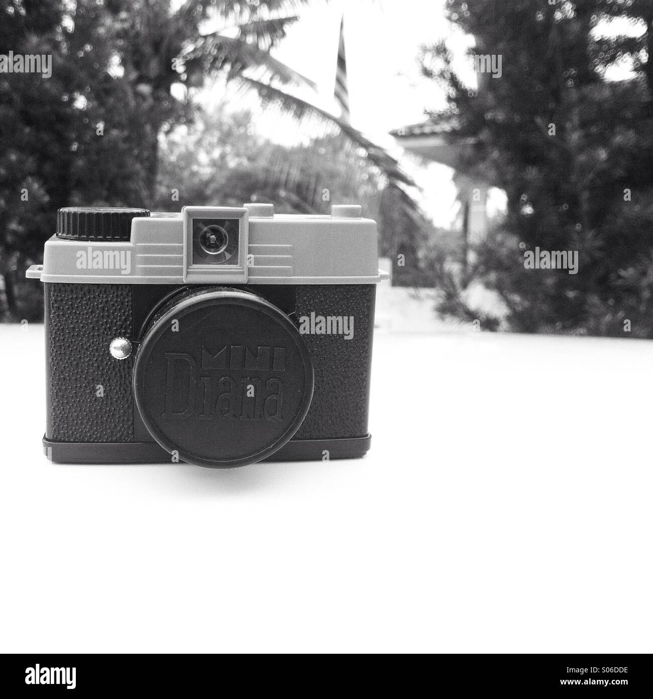Analog camera, Diana Mini. Lomography Stock Photo