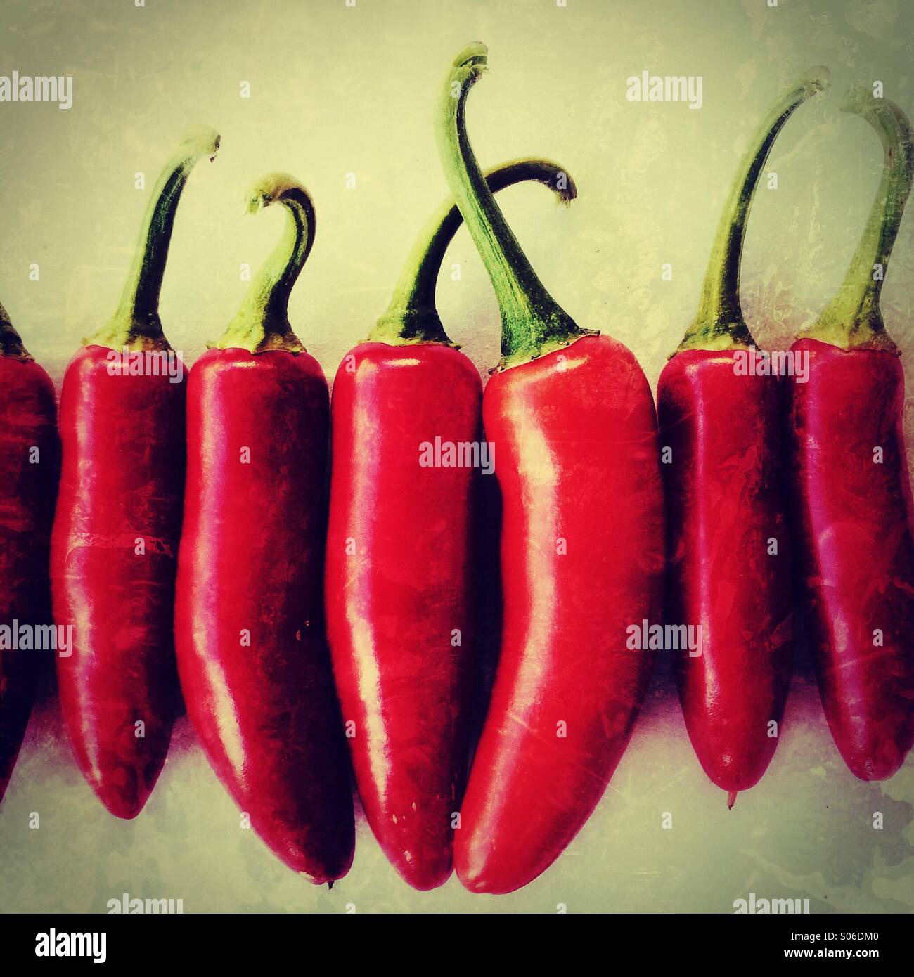 Serrano Chile Peppers Stock Photo Alamy