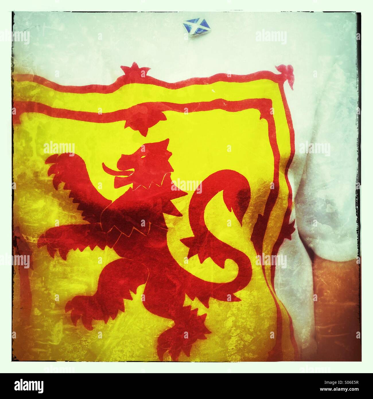 Close up of a woman wearing a Scottish Lion Rampant T-Shirt and a Saltire flag pin. Stock Photo