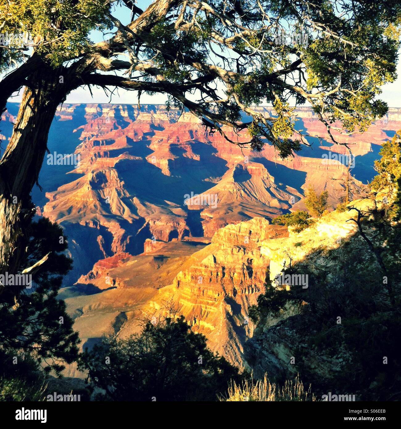 Grand Canyon - Smartphone Captured Stock Image