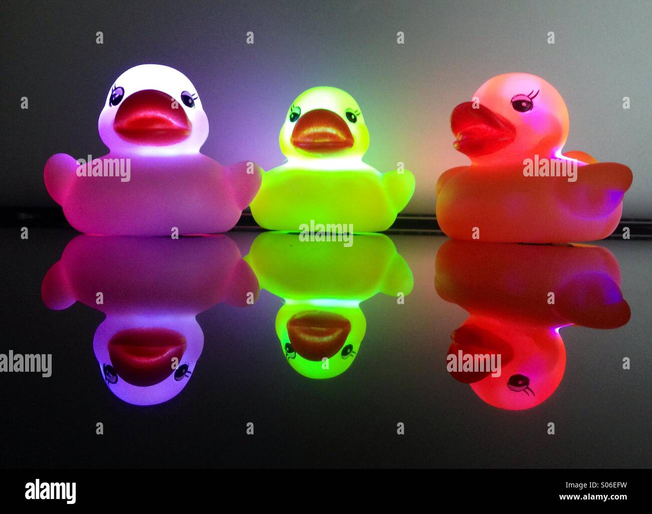 Glowing colorful rubber ducks on a shiny surface. Stock Photo