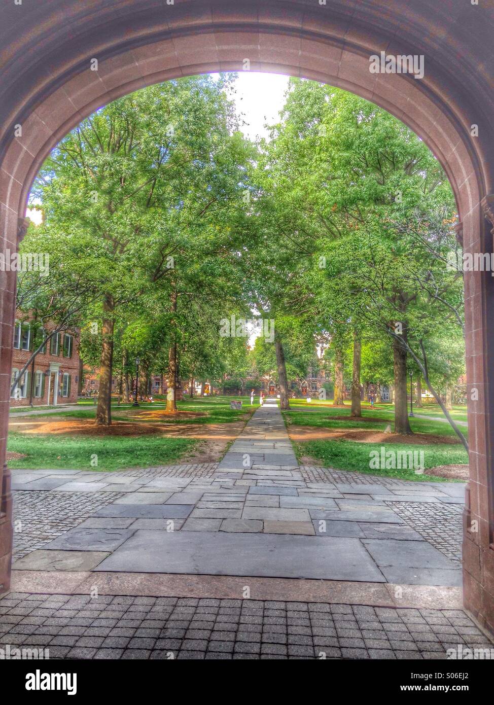 Yale campus hires stock photography and images Alamy