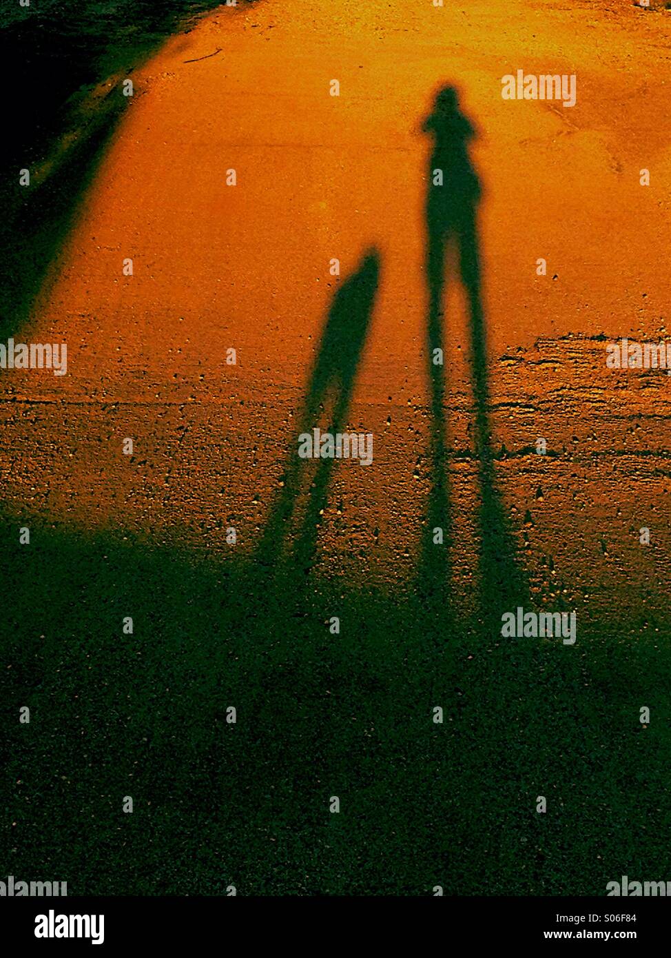 Dog and walker on a dirt road. - Smartphone Captured Stock Image