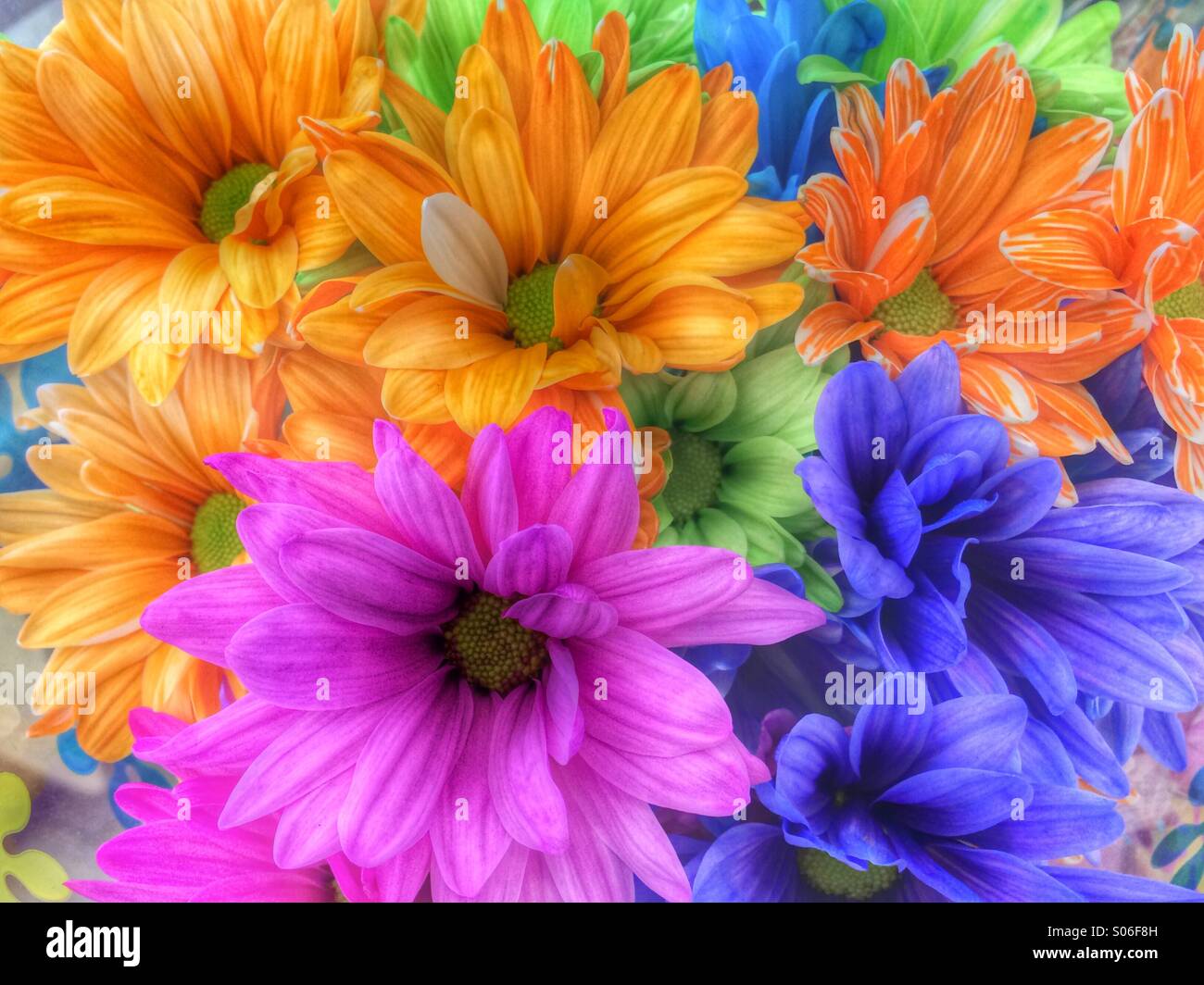 A bouquet of colorful flowers - Smartphone Captured Stock Image