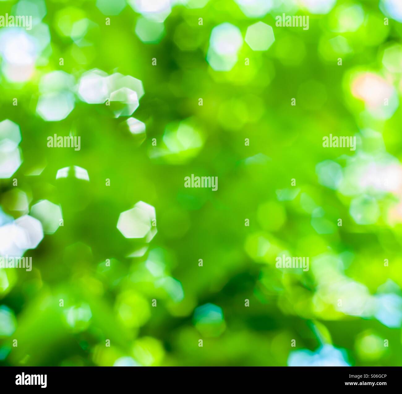 Colorful green bokeh Stock Photo